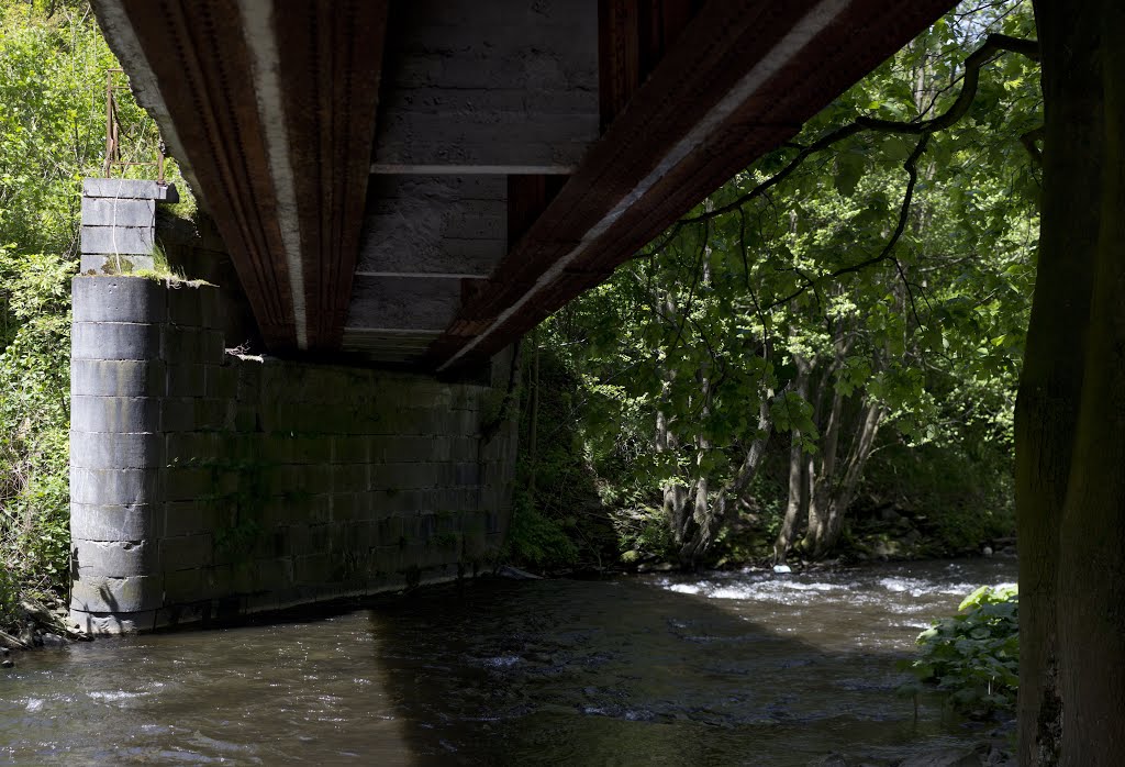 Sous l'ancien pont au dessus de la salm by Warnotte R.