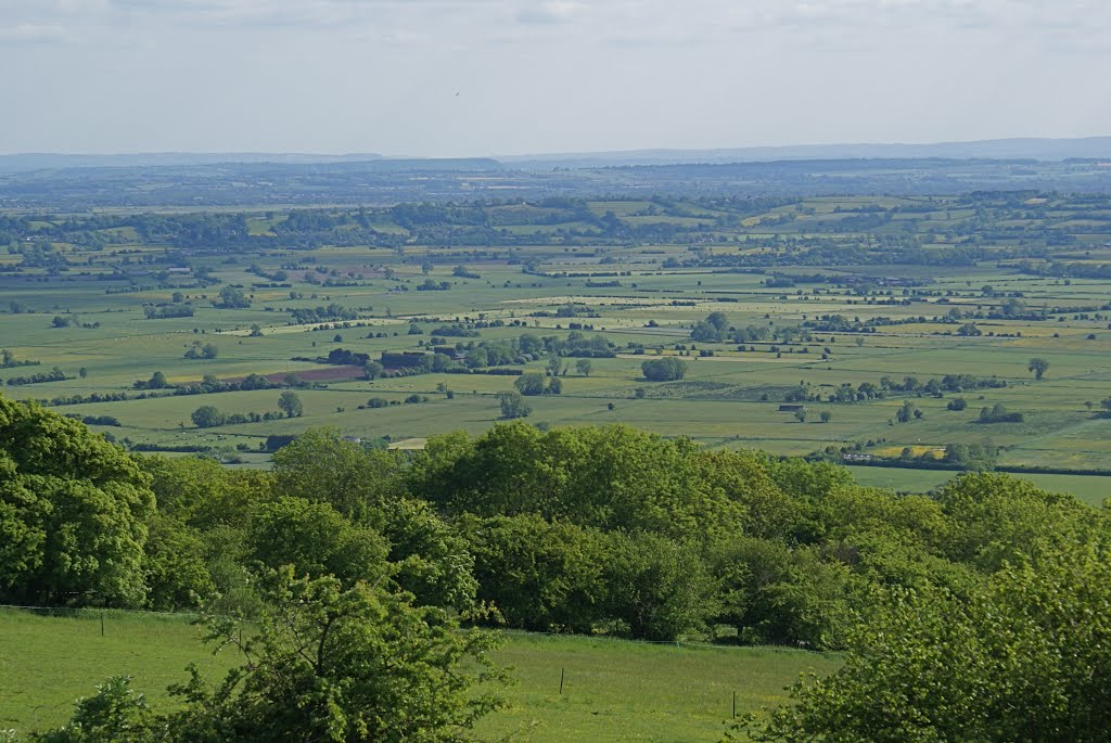 Cheddar View across Sedgemoor Panarama by Carol Jadzia