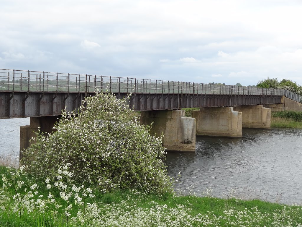 Disused railway bridge by Shadow3512