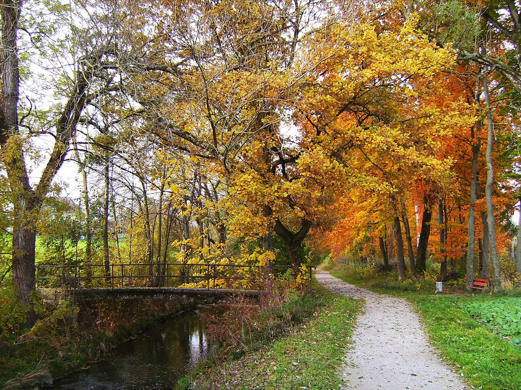 Wetzikon, romantische Brücke (2007) by dr.monnet