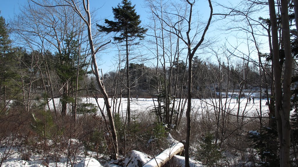 NS, Halifax - Frog Pond in the Sir Sandford Fleming Park on sunny winter day by kh21