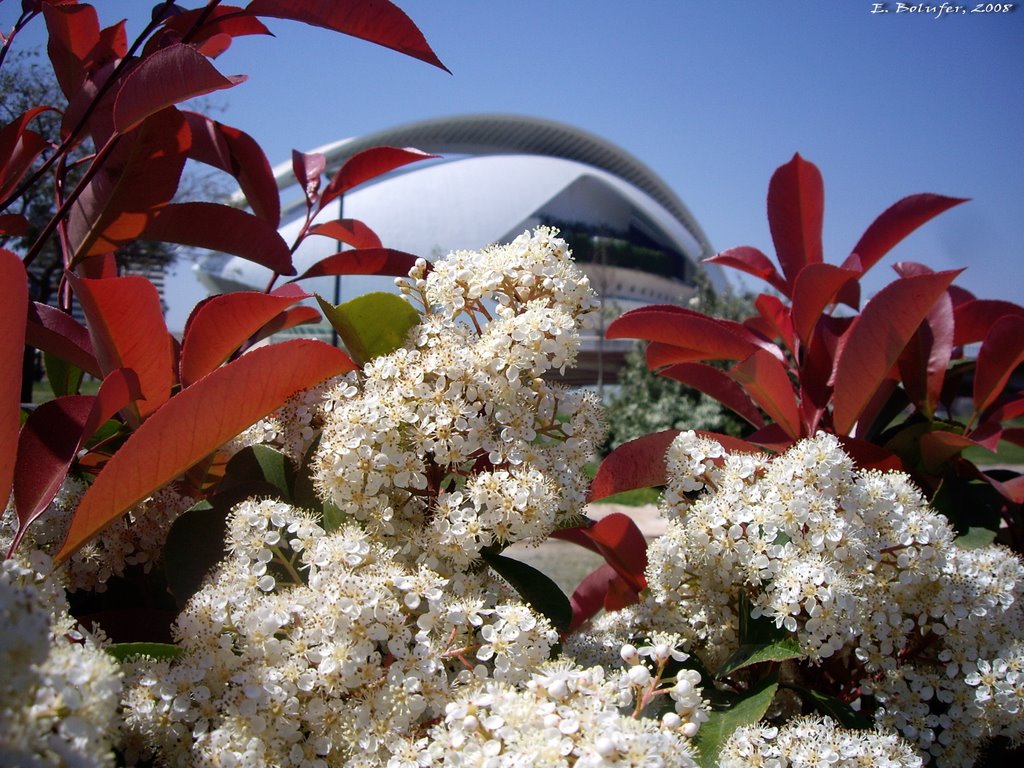 Jardines del Turia by ebolufer