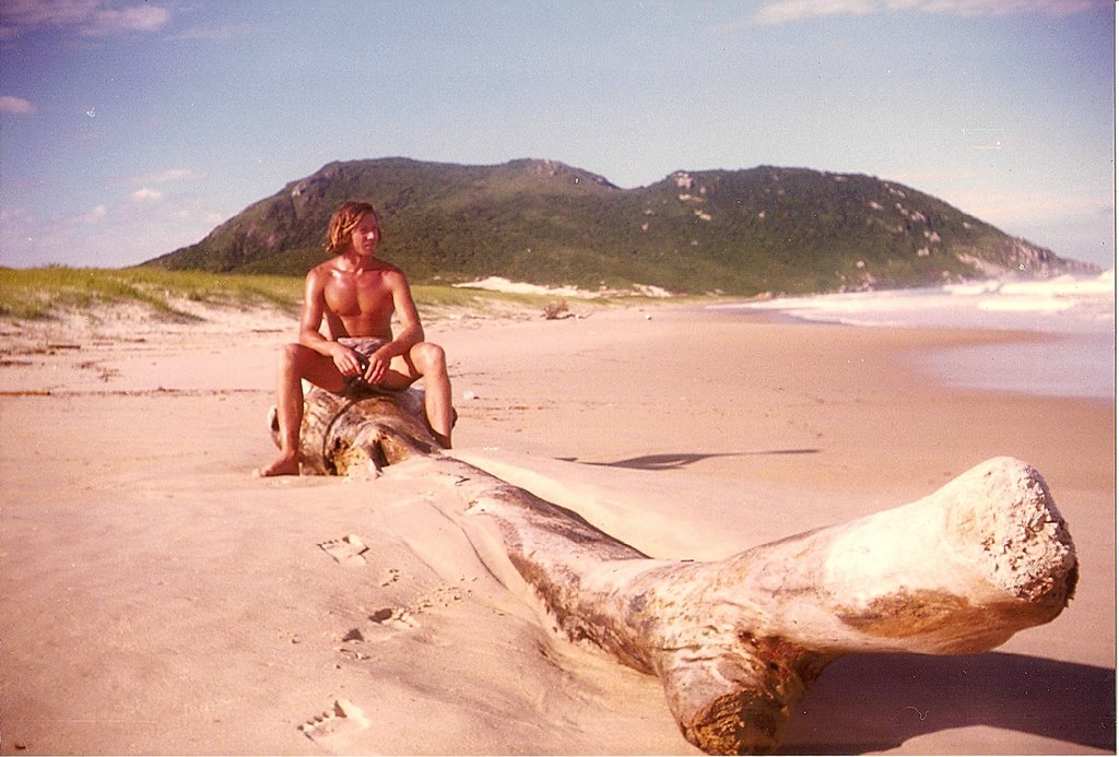 Florianópolis, State of Santa Catarina, Brazil by goetzda