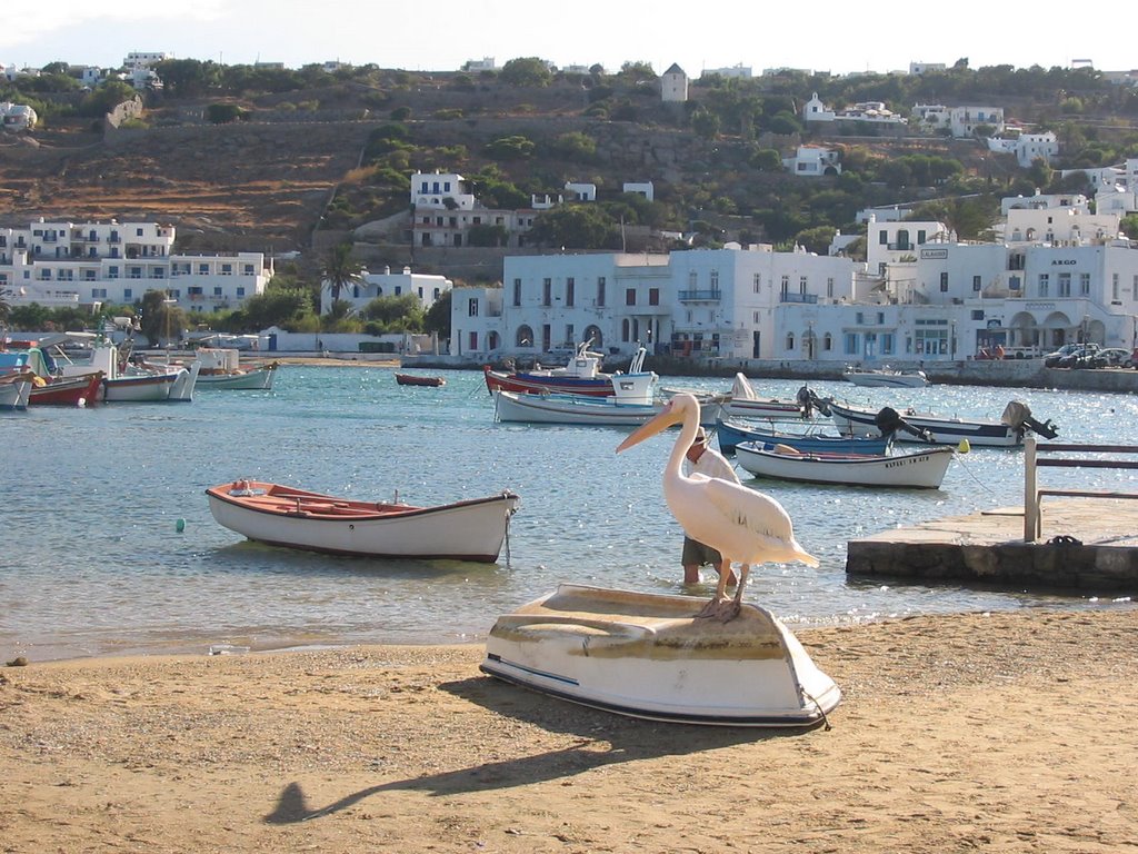 Mykonos - pélican sur le port by France-42