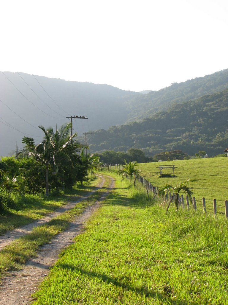 Caminho do campo - Rio Tavares (FG) by Felipe Ghisi