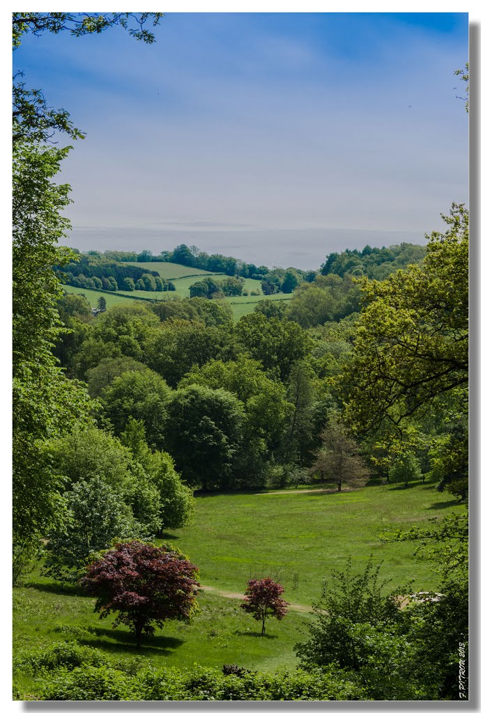 Landscape at Winkworth Arboretum by François PITROU_CHARLIE