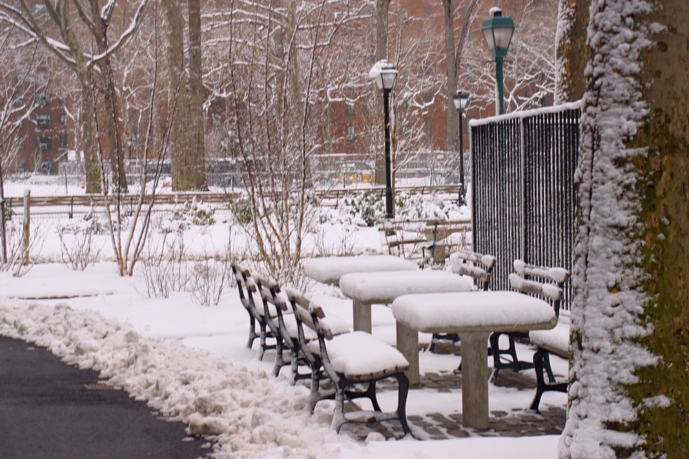 Stuyvesant Town: Chess Tables, NYC by LuciaM