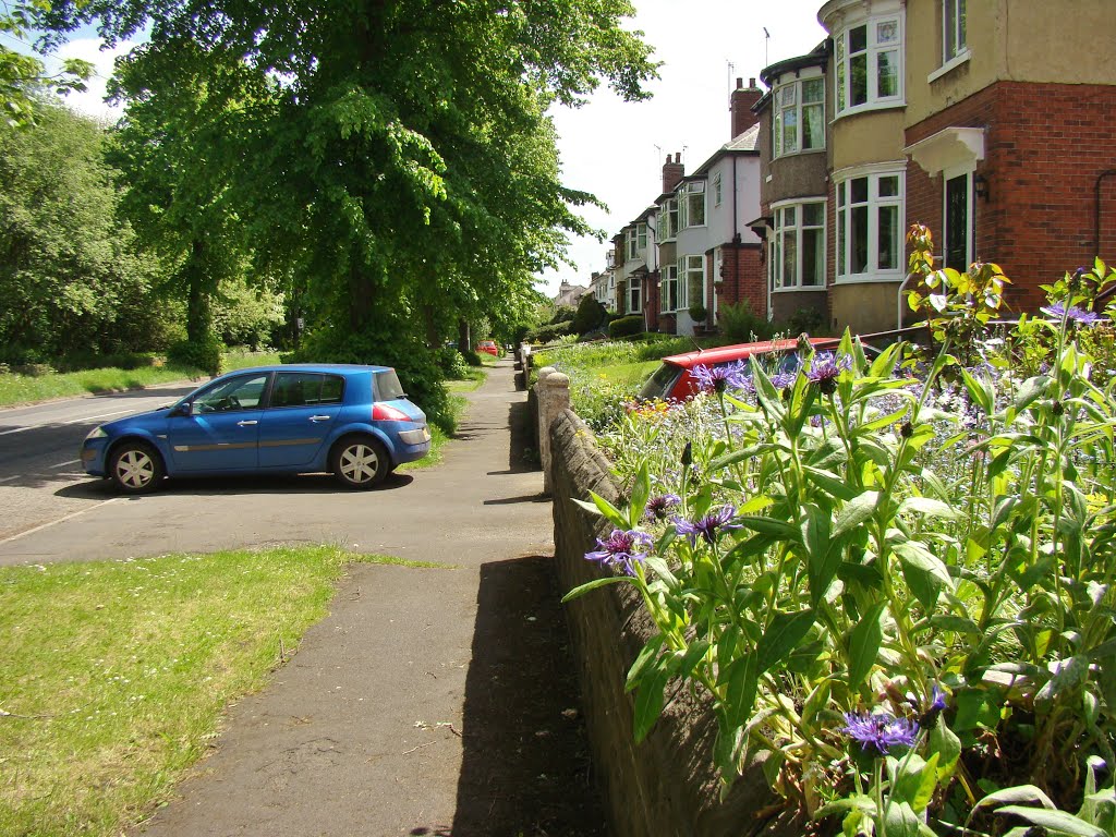 Front gardens on Middlewood Road North looking south east 1, Middlewood, Sheffield S6 by sixxsix