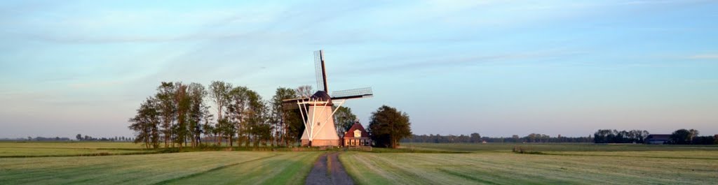 Poldermolen De Olifant by molenfotograaf (mill photographer)