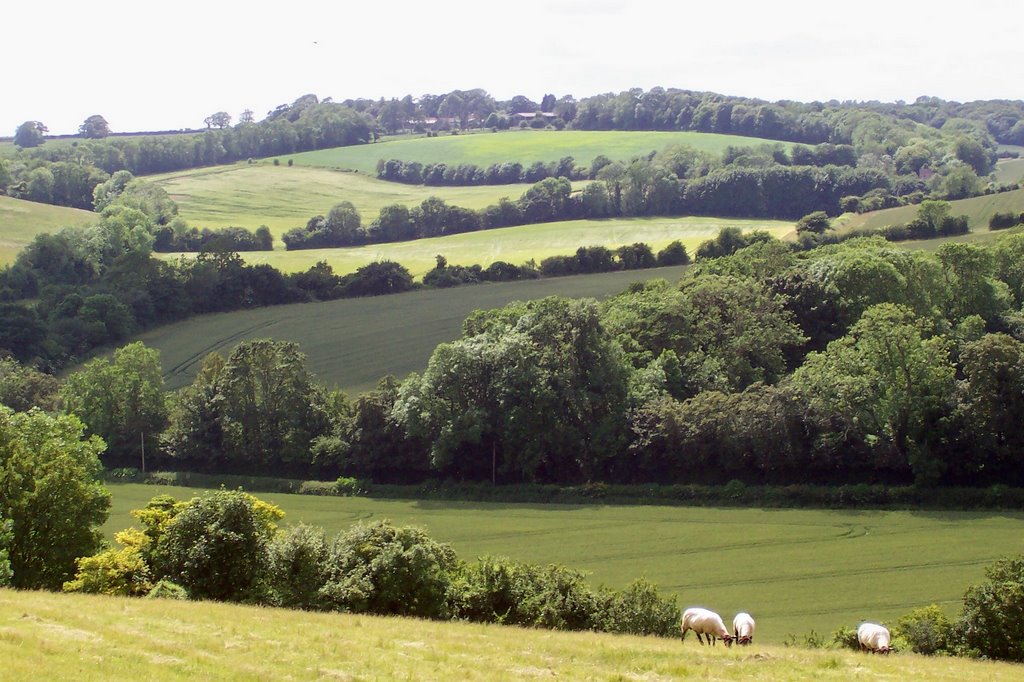 Near Hastingleigh by jbuskes