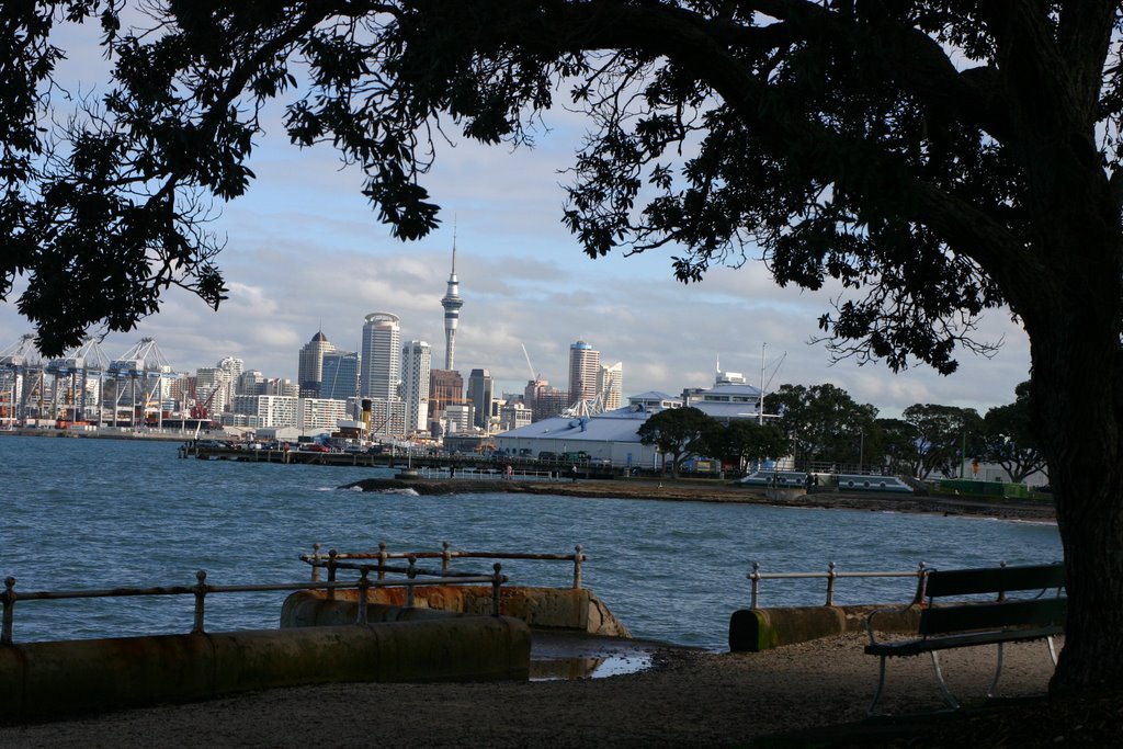 Auckland city form Devonport by Pieter Verhoeven