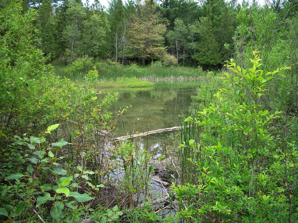 Mary's Pond View by Time Warpped