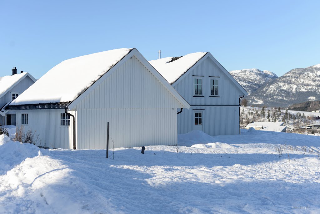 Vinter i Bø, Norge by GuoJunjun