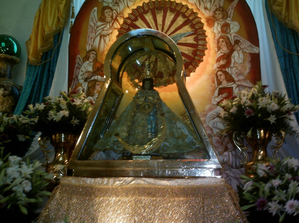 Nuestra Señora de Zapopan by Luis Carlos Garcia