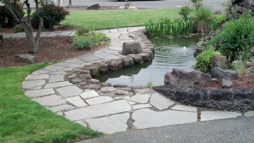 Stone walkway and coy pond by fbg2007