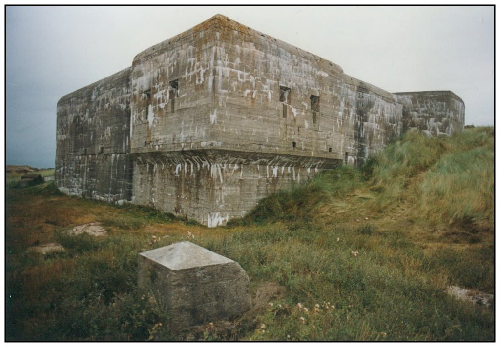 Codename: "BÜFFEL", Organization: 14./Ln. Rgt. 212, Location: Blåvand by pillboxs