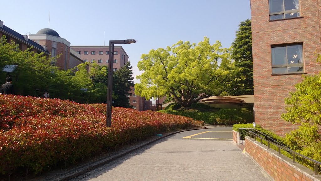 Kansai university osaka japan by ruslee9946