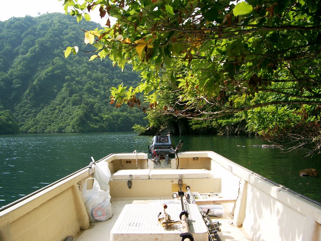 It takes a nap on the Ginzan lake. by 伝之助