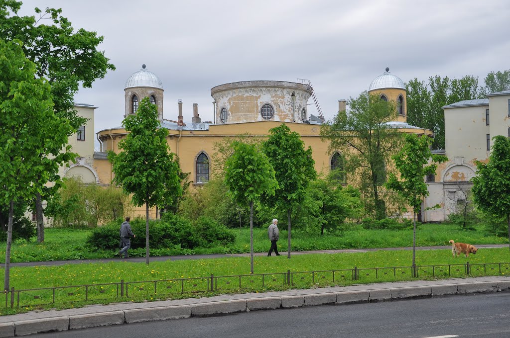 Санкт-Петербург. Чесменский дворец / St. Petersburg. Chesme Palace by Ann78