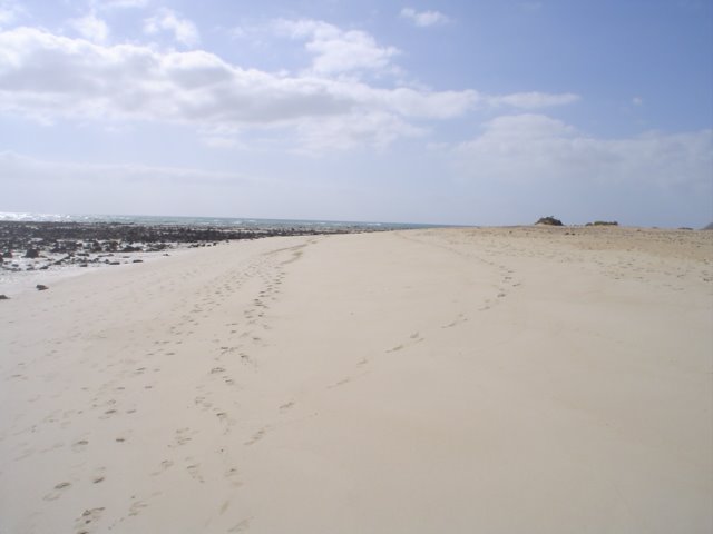 Corralejo - spiaggia bianca deserta by dani_p77