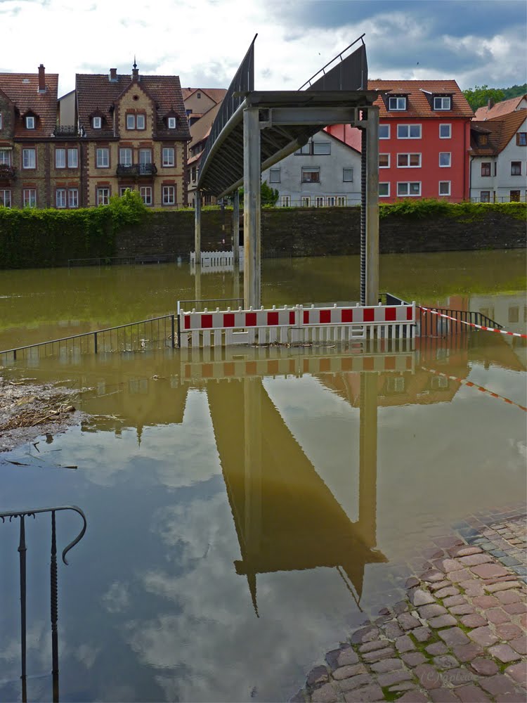 Hochwassererprobte Brücke, hochgefahren / Proven flood bridge, ramped by giselaplewe