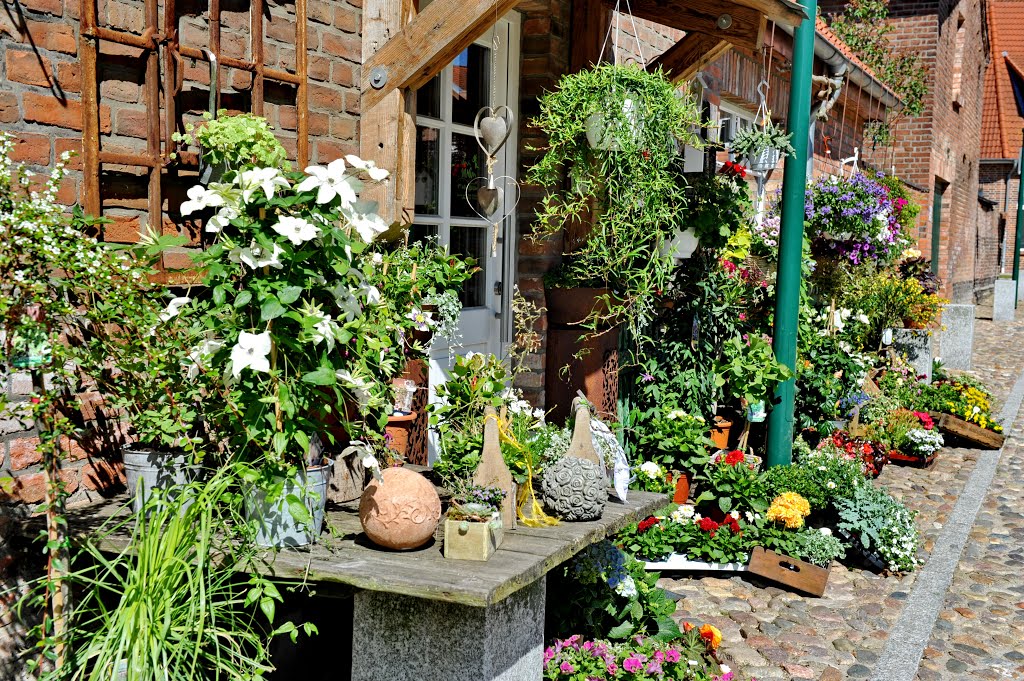 Blumenoase in Wittenburg by CHARMING PICTURES - Reportage- und Reisefotog