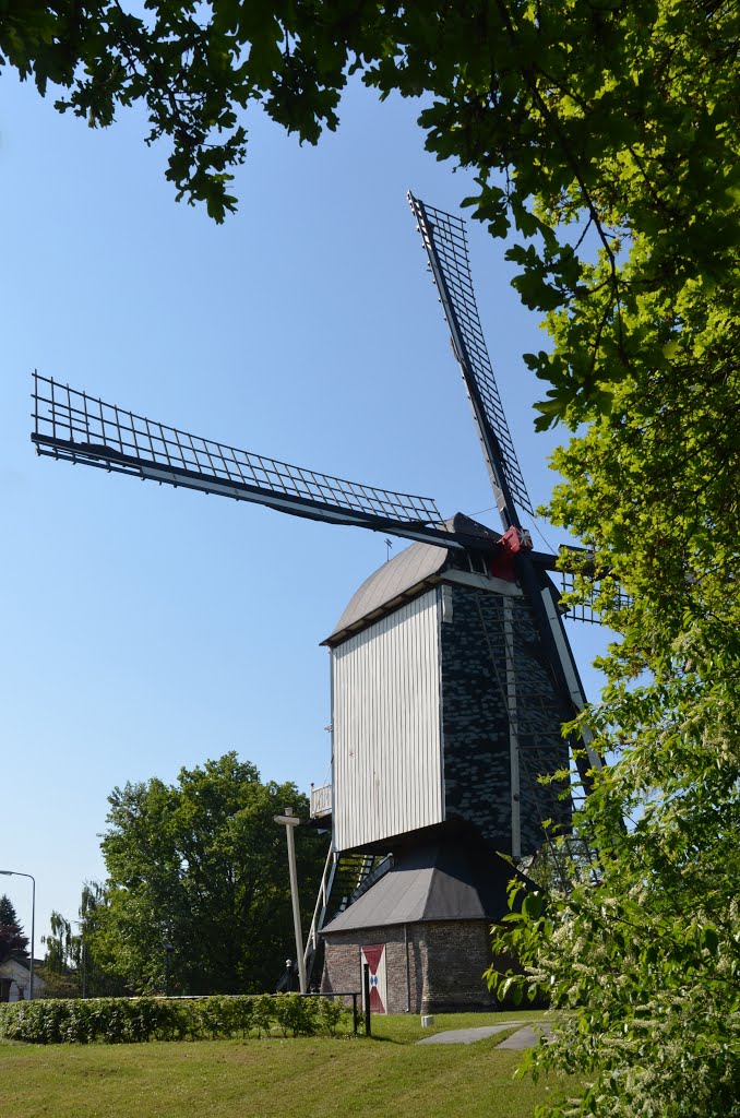 Naamloze standerdmolen by René Speur