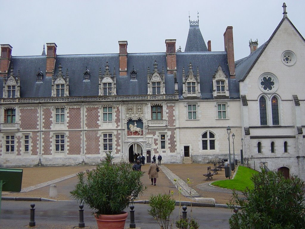 Chateau de Blois by Gerhard Rieß