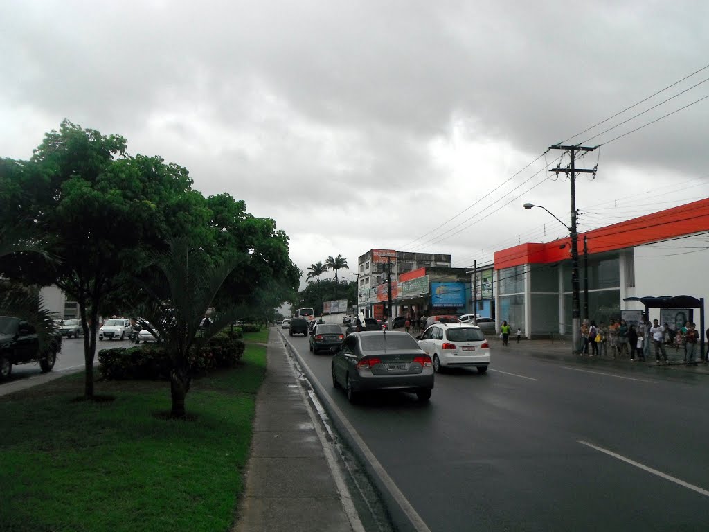 Avenida Fernandes Lima by Alba Alves de Lima