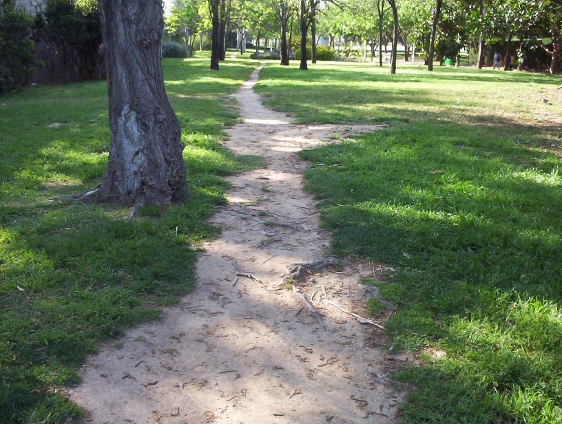 Sendero frente al Gulliver by Elena Odgers