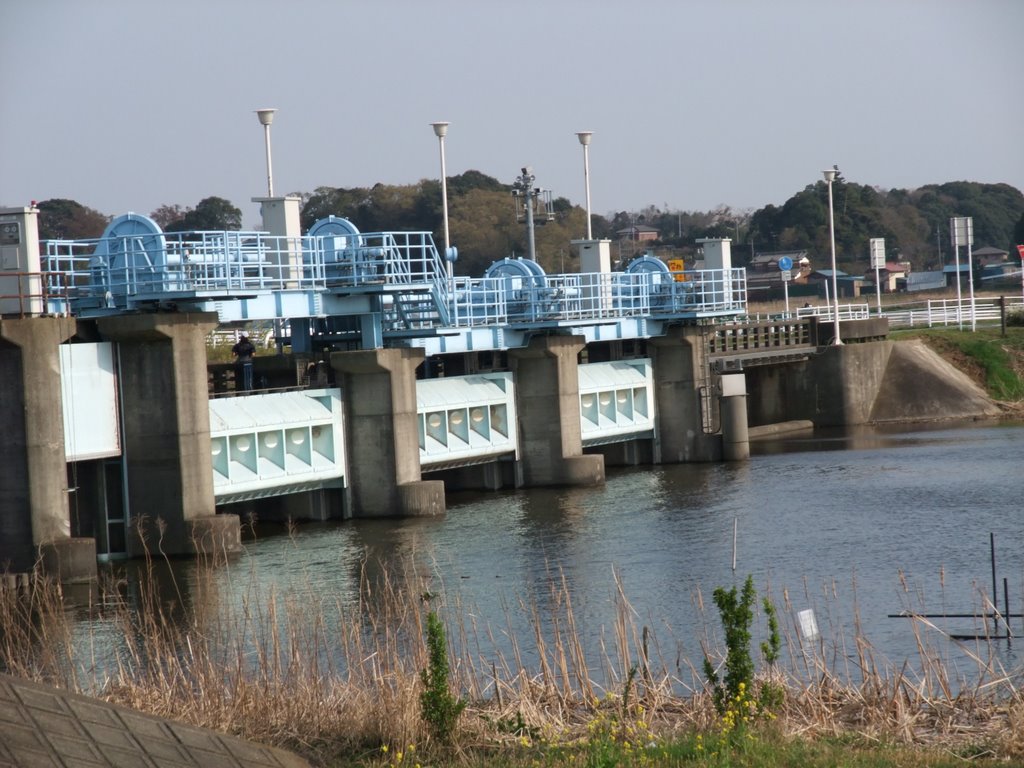 Katayama Shinden, Kashiwa, Chiba Prefecture 270-1452, Japan by koji___