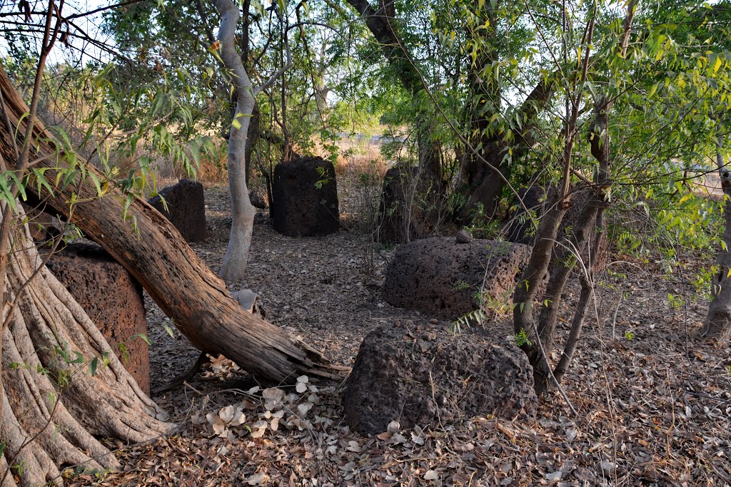 Stone Circles of Senegambia in Sami, Gambia. by Nicola e Pina Gambia 2013