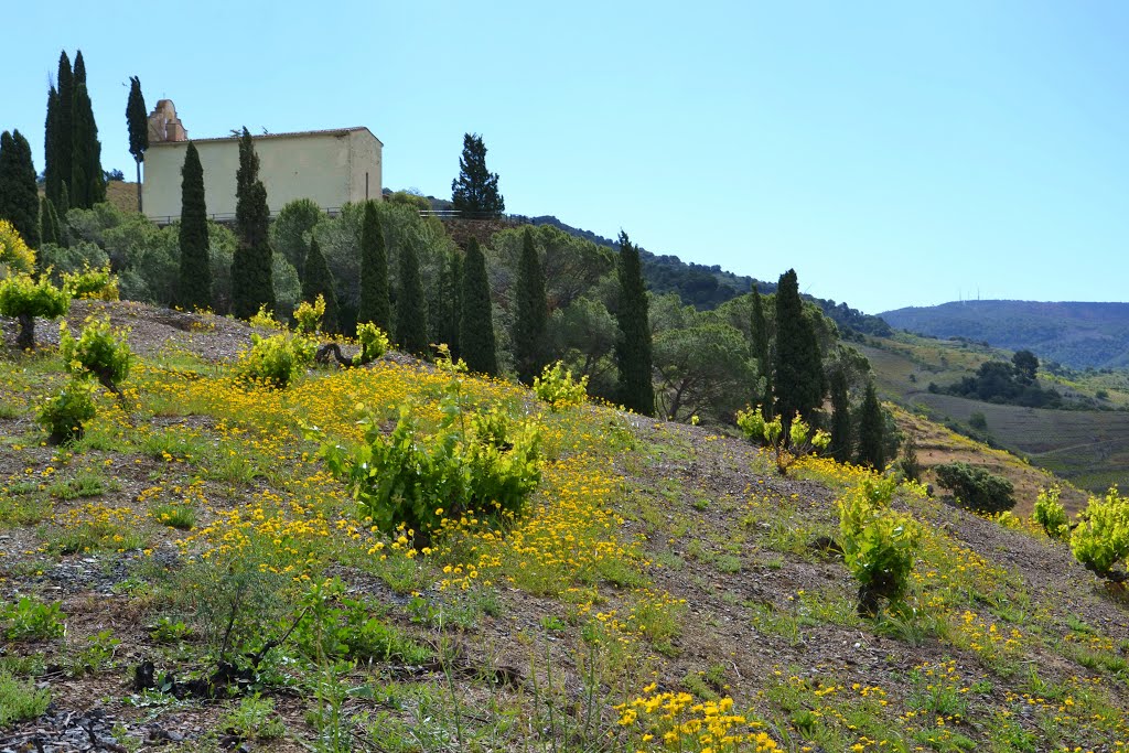 Porrera: la Ermita de St Antoni entre cipreses, may.2013 by Can Tres