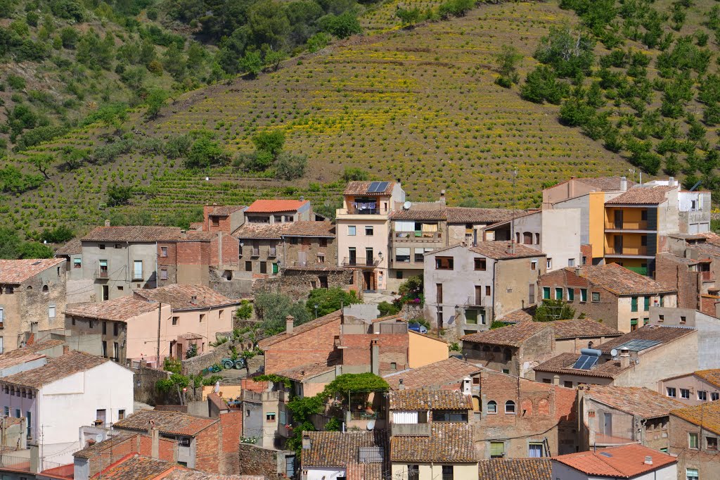 Porrera desde la Ermita de St Antoni, may.2013 by Can Tres