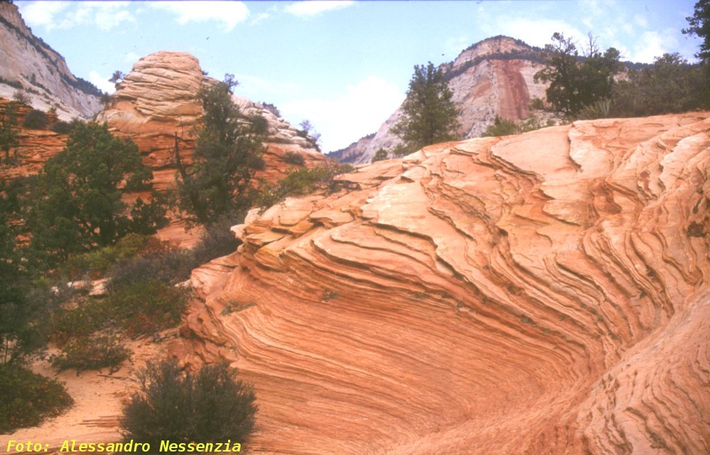 Utah Zion Park 5 by Alessandro Nessenzia