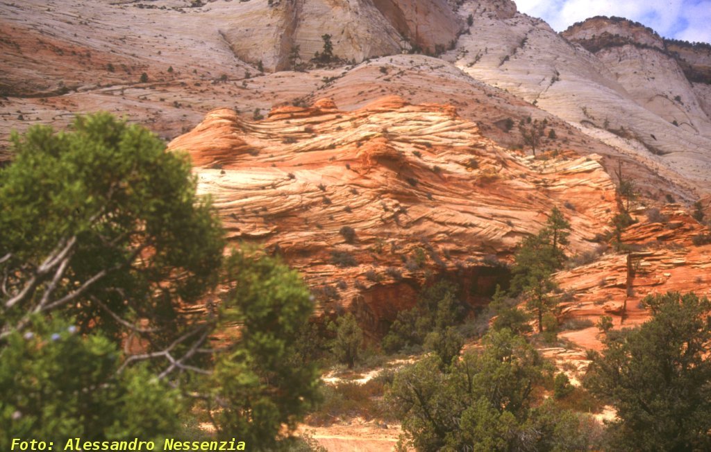 Utah Zion Park 6 by Alessandro Nessenzia