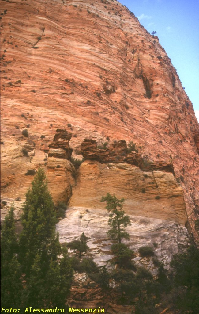 Utah Zion Park 8 by Alessandro Nessenzia