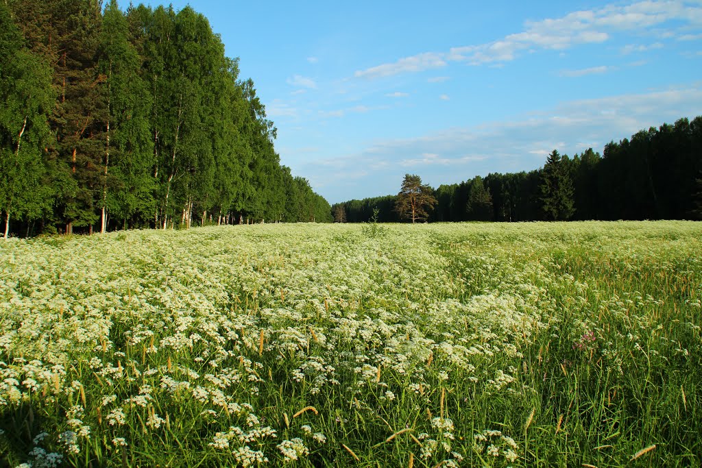 Павловск/ Pavlovsk (St-Petersburg) by Andrej Antipin