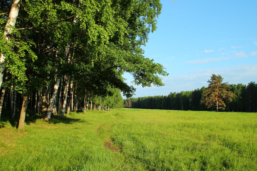 Павловск/ Pavlovsk (St-Petersburg) by Andrej Antipin