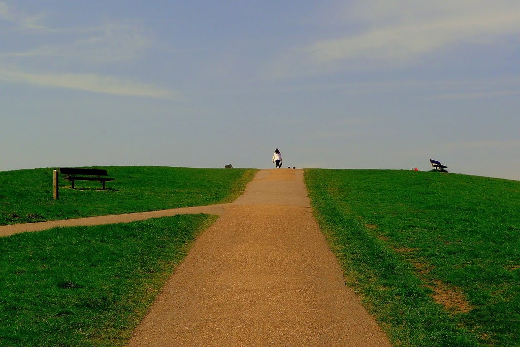 London, Hampstead Heath, Parliment Hill by mellis62