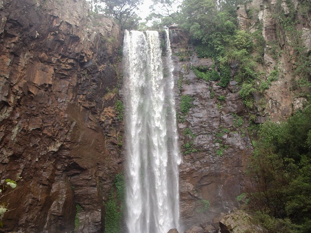 Queen Mary Falls by DarleneG