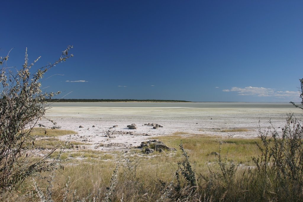 Etosha Pan by Thomas Wagner