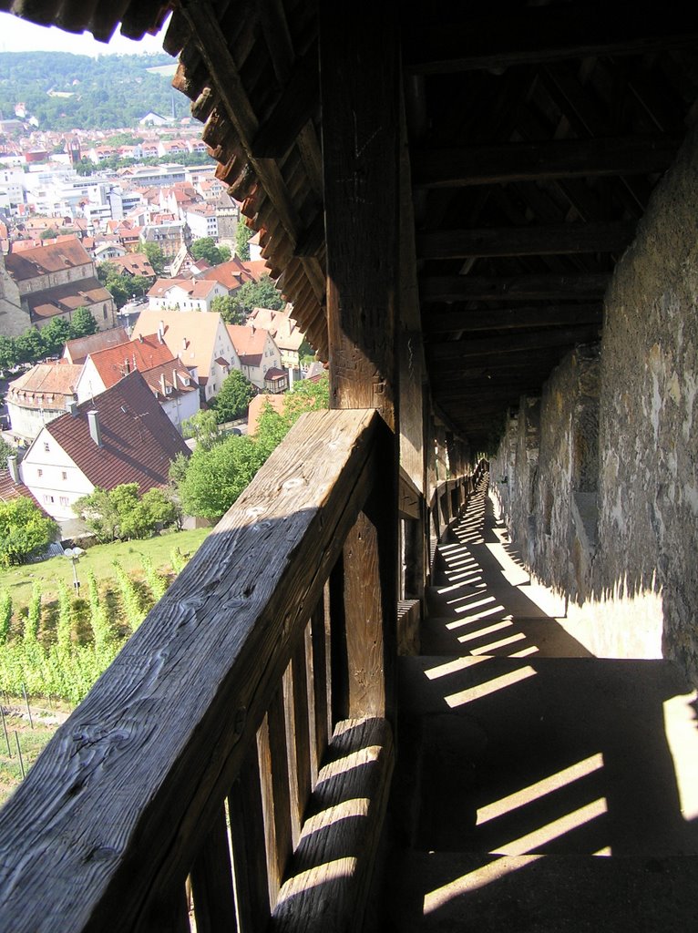 View from the stairs by Eltonis Mažuika