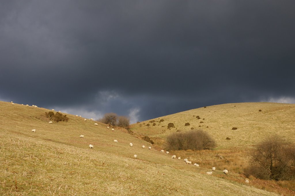 Above Llanarmon DC by ed morris