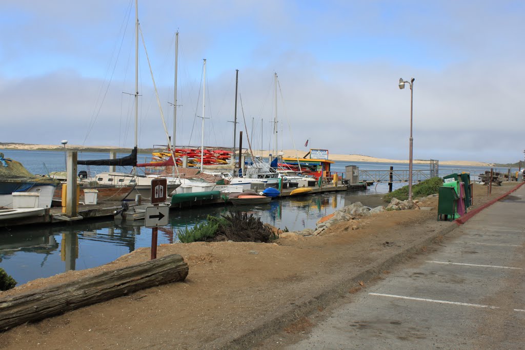 Morro Bay Marina by wnoble