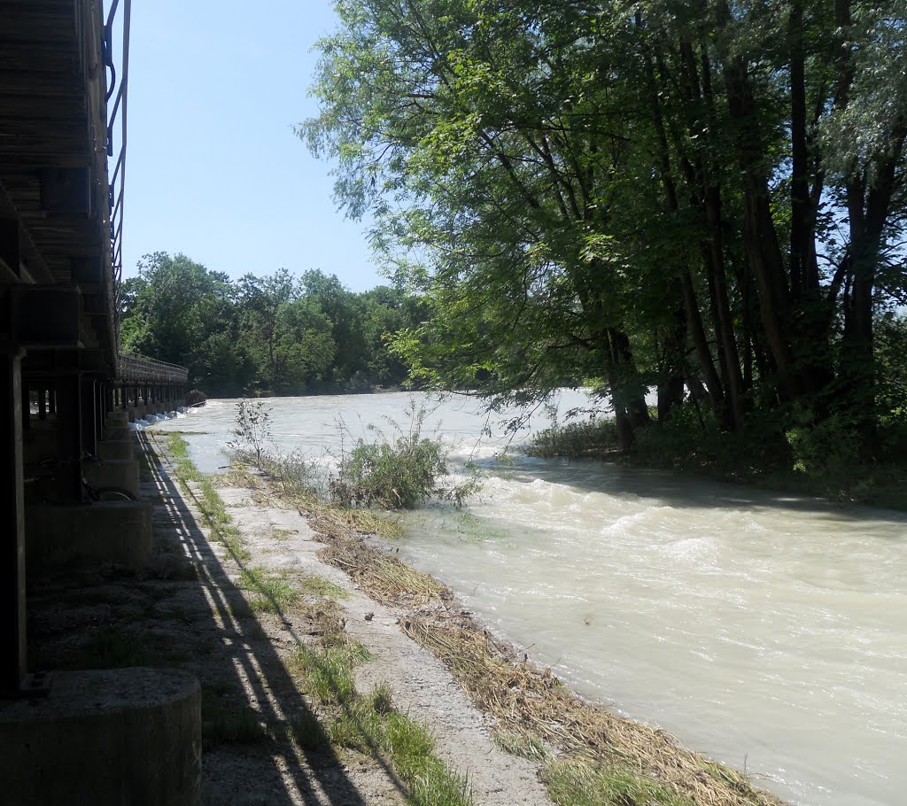 Hochwasser am Flaucher by Christoph Rohde