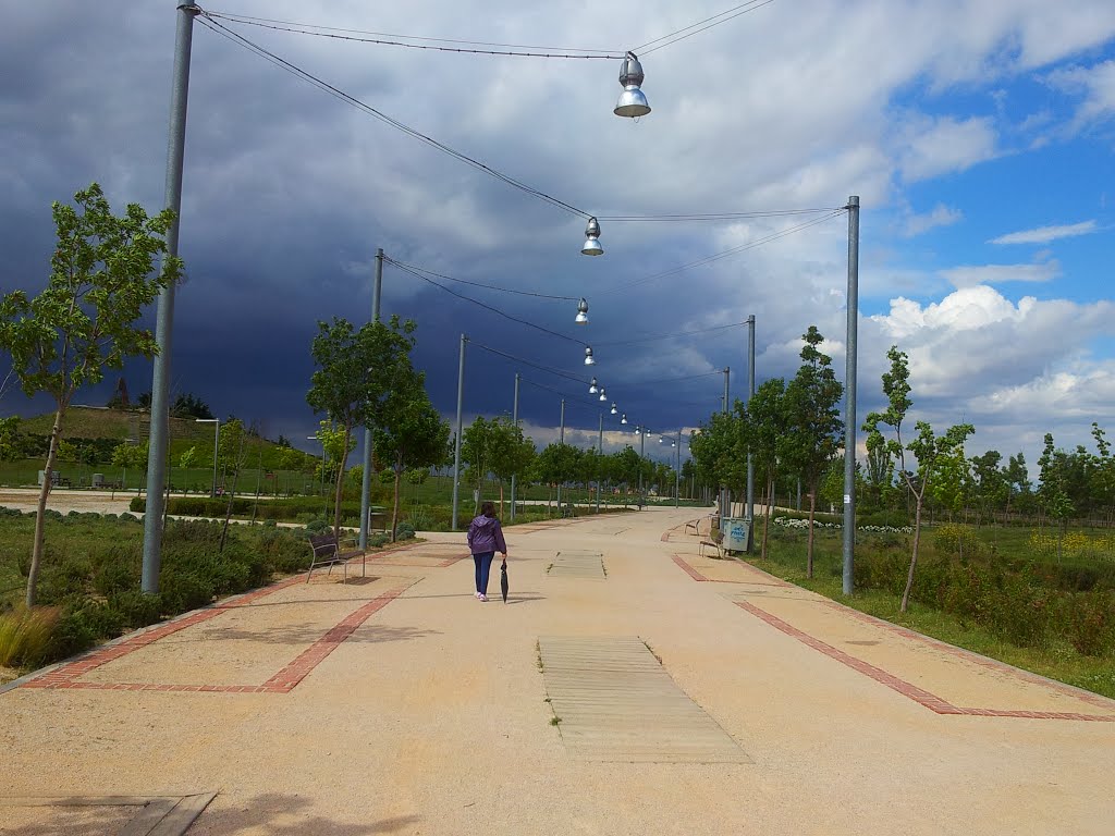 Paseando por el parque by Kike Piris