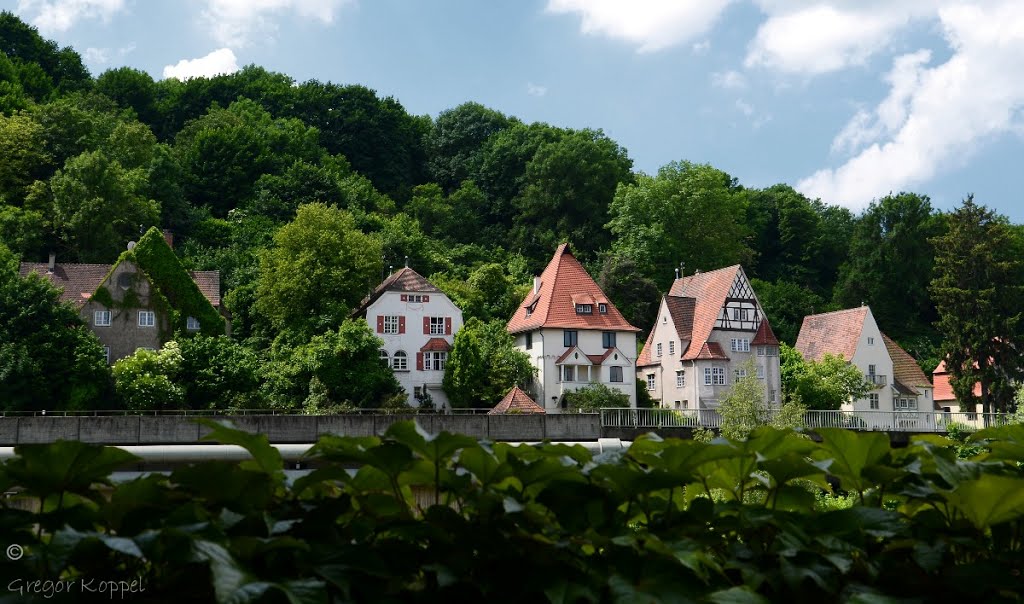 Stadtvillen Berkheimerstraße by Gregor Koppel