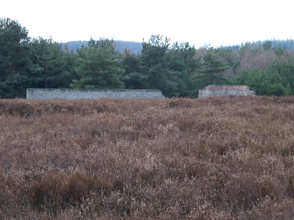 Mehlinger Heide 2 / 3 (former FFA training area) by mannheim