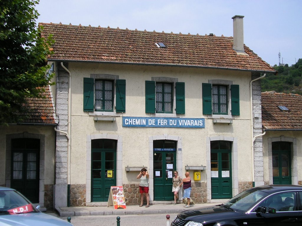 The Railway Station by Pete Stones